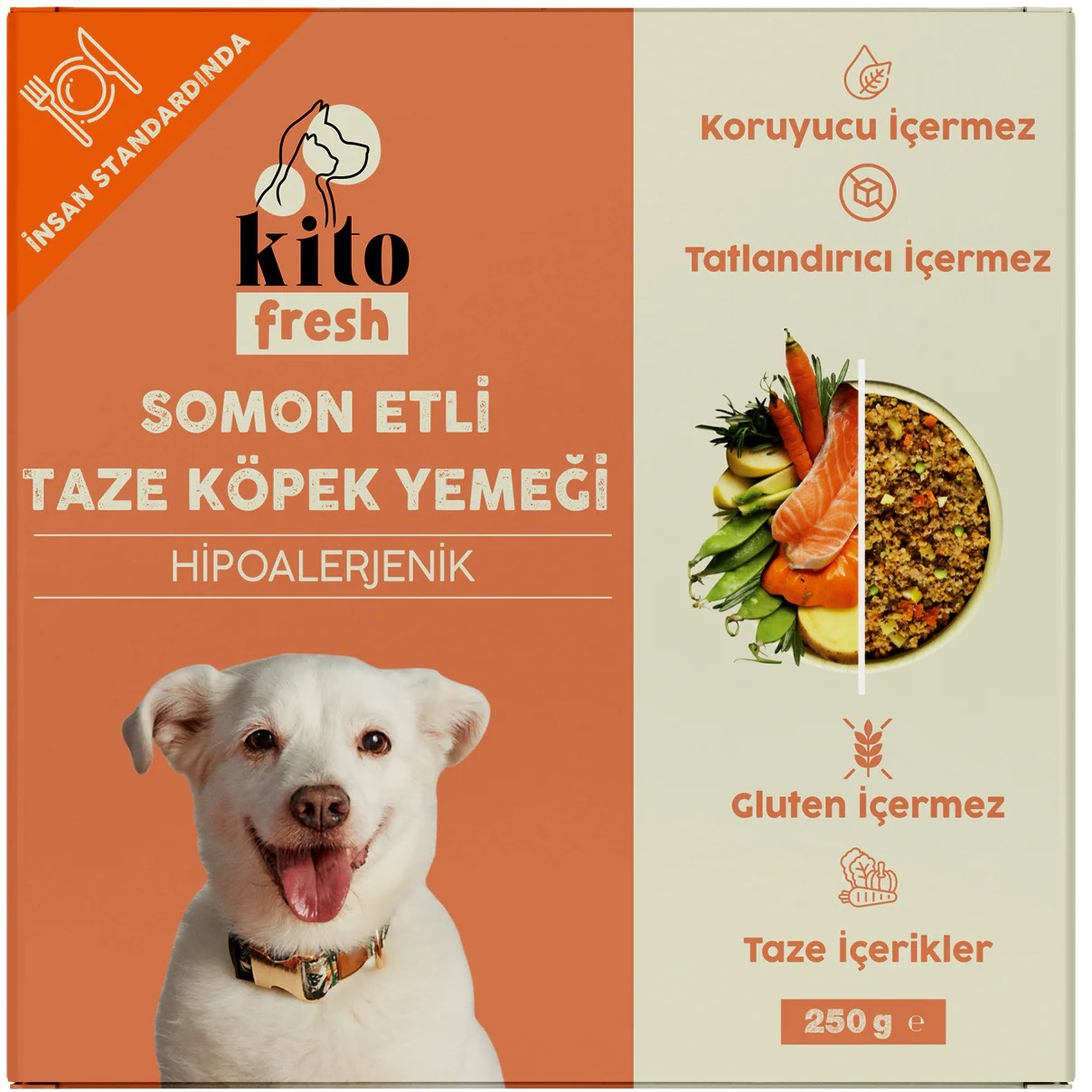 Kito Fresh Somon Etli Köpek Yemeği 250 gr